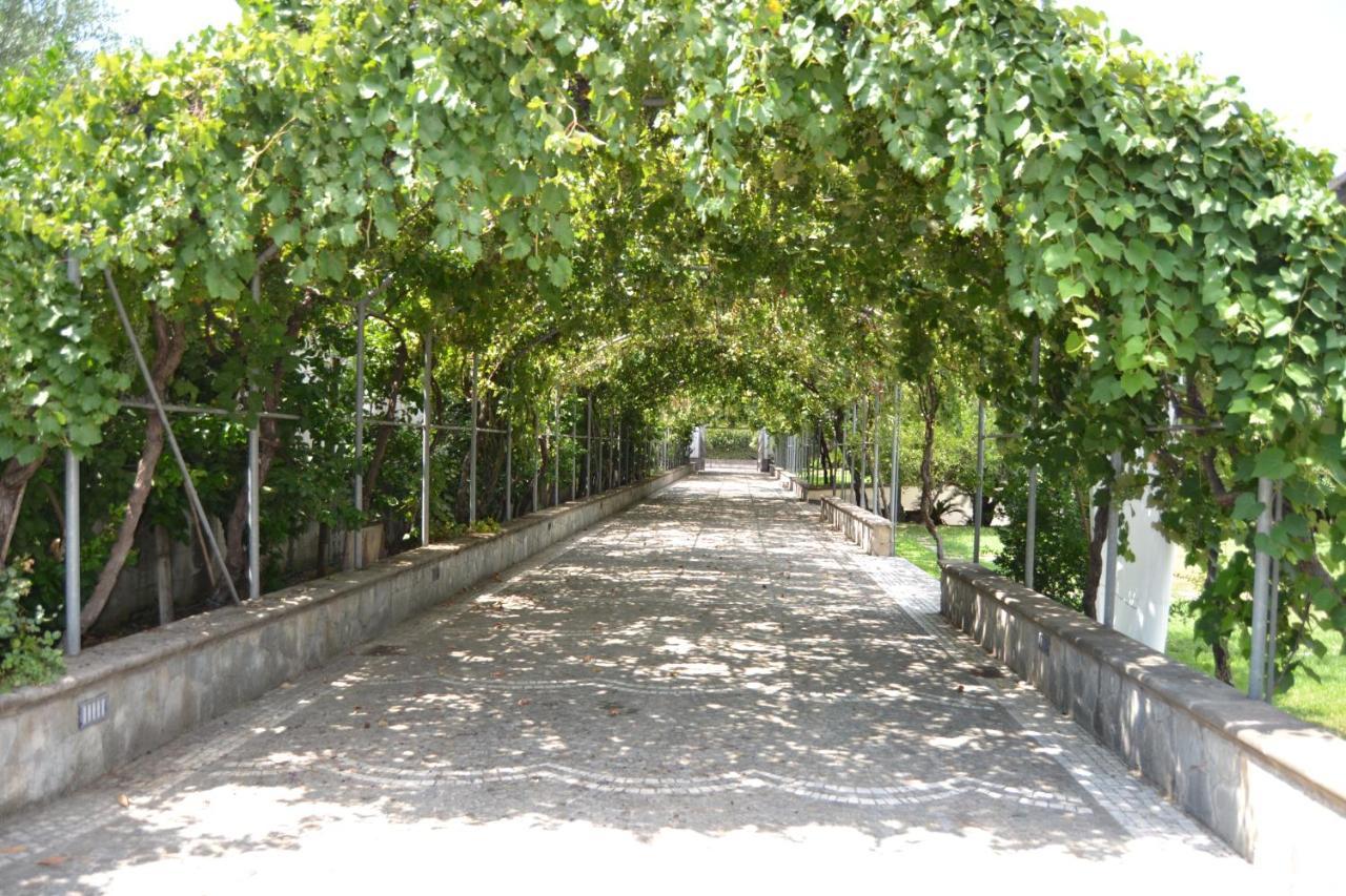 I Giardini Del Vesuvio Villa ซอมมาเวซูเวียนา ภายนอก รูปภาพ