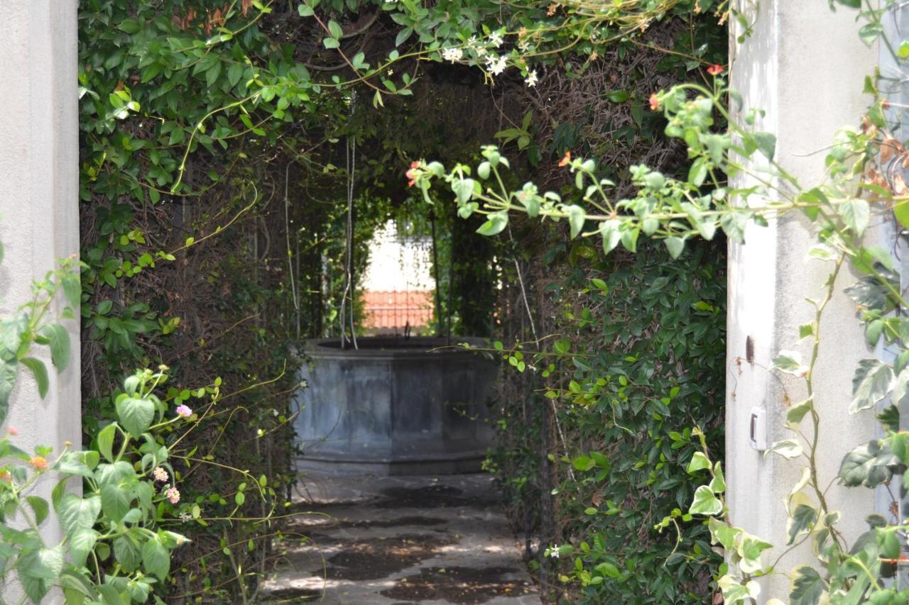 I Giardini Del Vesuvio Villa ซอมมาเวซูเวียนา ภายนอก รูปภาพ